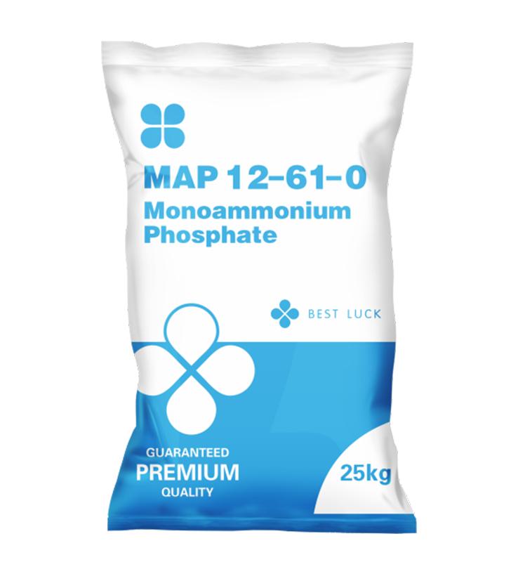 MAP 12-61-00