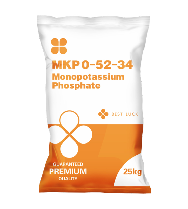 MKP 00-52-34