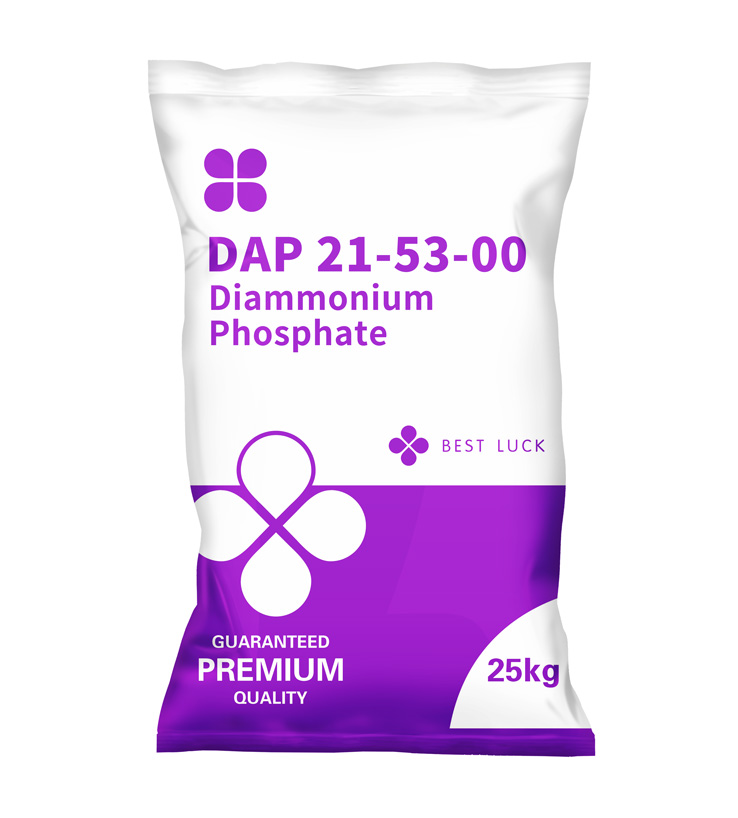 DAP 21-53-00