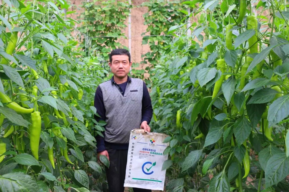 有机碳水溶肥使用效果