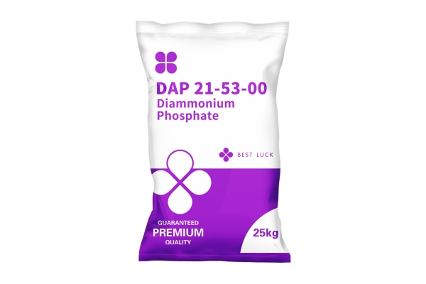 DAP 21-53-00