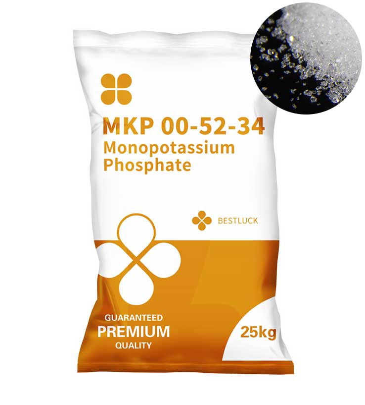 MKP 00-52-34
