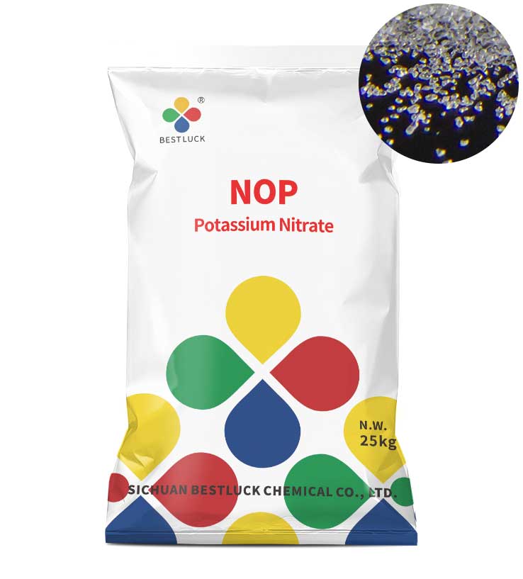 NOP